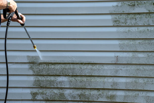 Best Property Management Cleanouts  in Garden City Park, NY